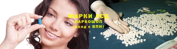 трава Новокубанск