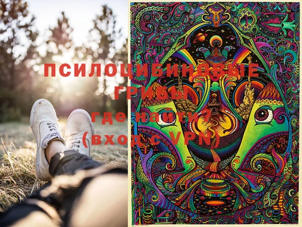 винт Няндома