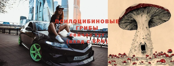 соль курить ск Новодвинск
